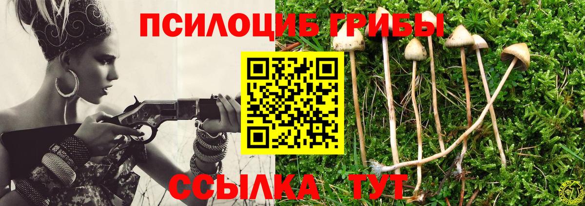 купить наркотик  Псилоцибиновые грибы ЛСД  Вход с VPN  Ртищево 