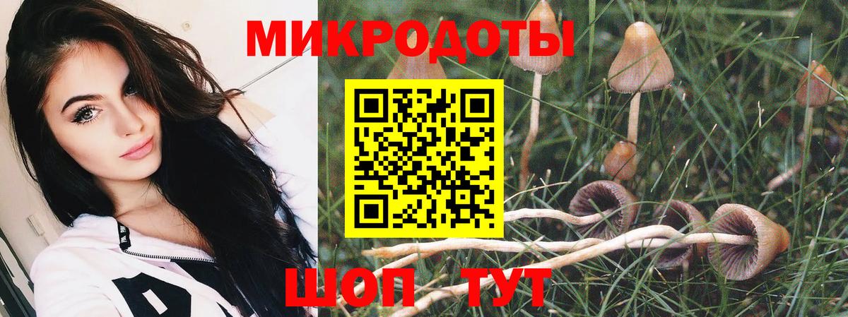 Псилоцибиновые грибы MAGIC MUSHROOMS Ртищево